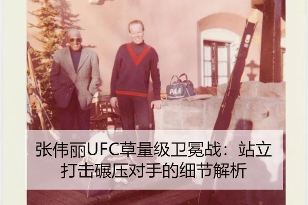 zhang-wei-li-cao-liang-ji-wei-mian-zhan-zhan-li-da-ji-nian-ya-dui-shou-de-xi-jie-jie-xi-2-762.jpg