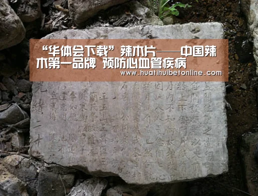“华体会下载”辣木片——中国辣木第一品牌 预防心血管疾病(图2) 华体会平台